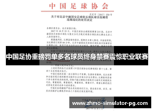 中国足协重磅罚单多名球员终身禁赛震惊职业联赛 中国足协重磅罚单多名球员终身禁赛震惊职业联赛